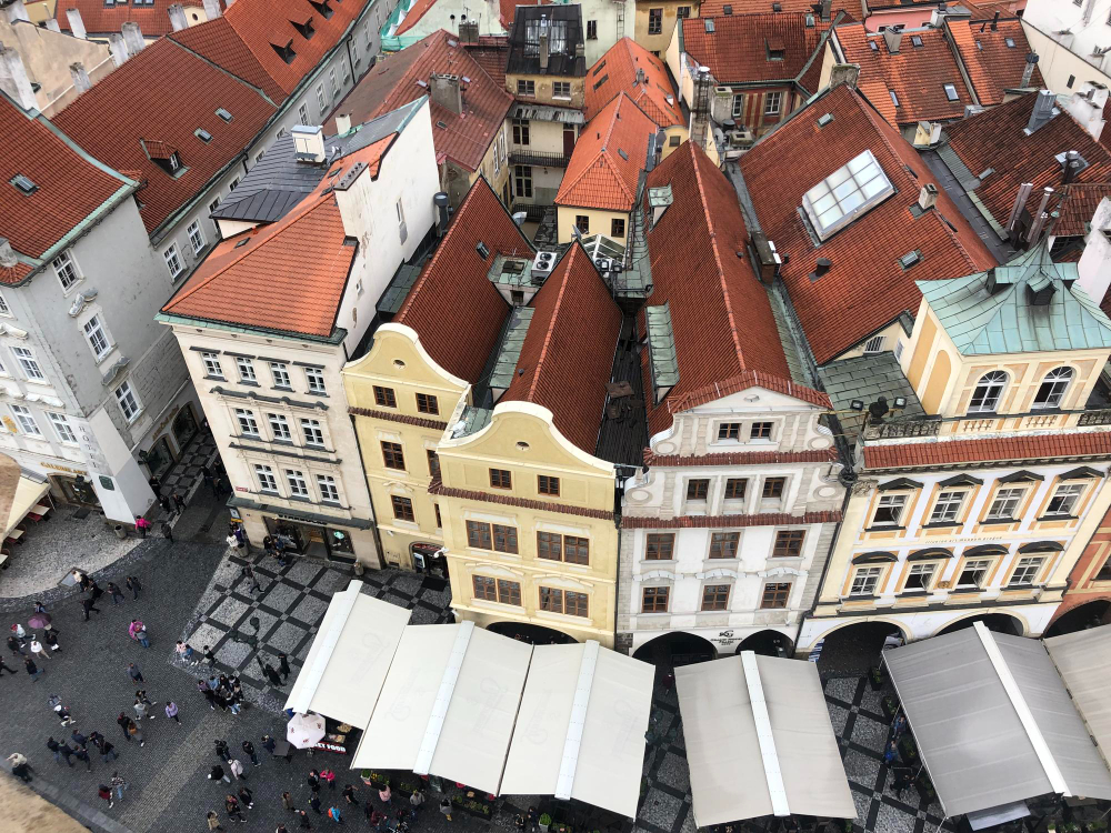 Rynek legnica jesienią